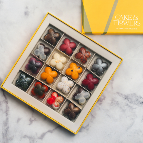 Chocolate bonbons (16 pcs)