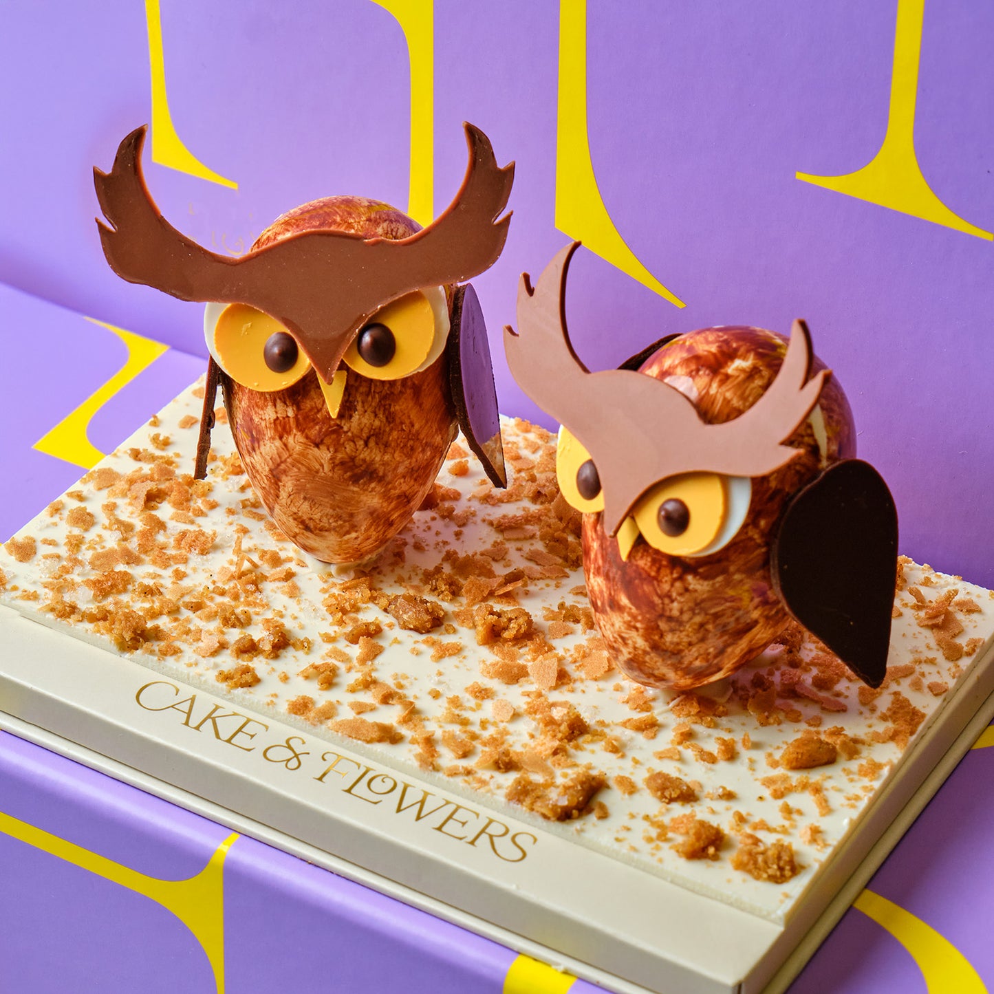 The Dorchester owls